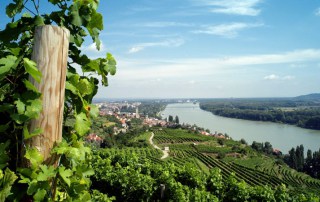 Lebensberater Ausbildung