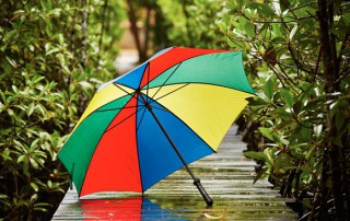 Lebensberater Ausbildung