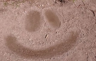 Lebensberater Ausbildung