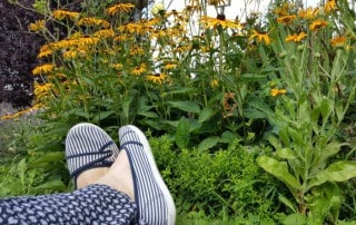 Lebensberater Ausbildung