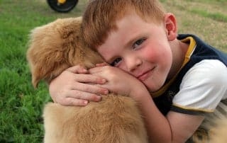 Lebensberater Ausbildung