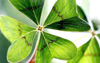 Lebensberater Ausbildung