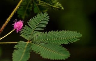 Lebensberater Ausbildung