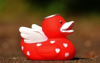 Lebensberater Ausbildung