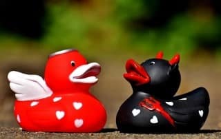 Lebensberater Ausbildung