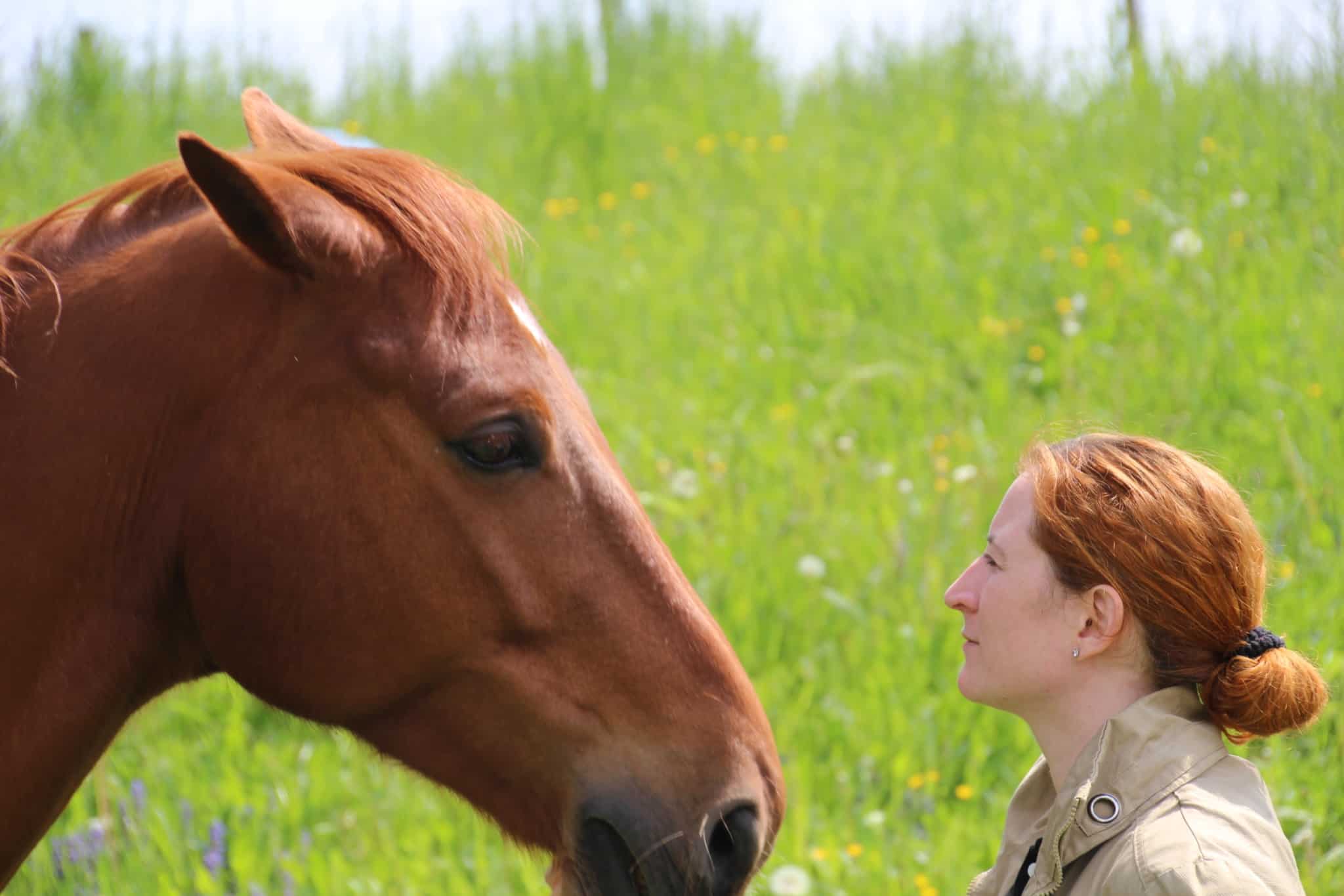 Was ist pferdegestütztes Coaching?
