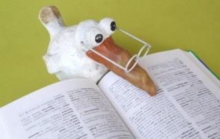 Lebensberater Ausbildung