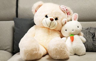 Lebensberater Ausbildung