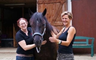 Was ist pferdegestütztes Coaching?