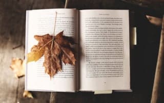 Lebensberater Ausbildung