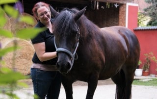 Was ist pferdegestütztes Coaching?