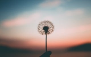 Lebensberater Ausbildung