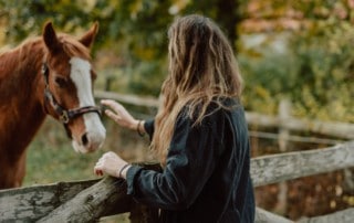 Lebensberater Ausbildung
