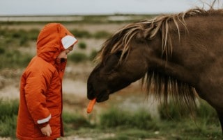 Lebensberater Ausbildung