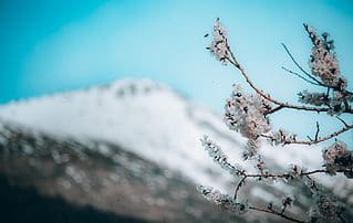 Metapher: Die schwierige Kunst