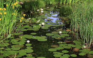 Metapher: Das trügerische Spiel dieser Welt