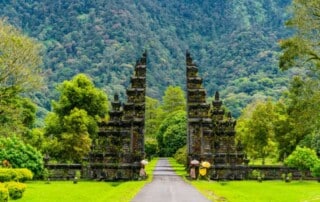 Metapher: Wie man in den Wald hineinruft