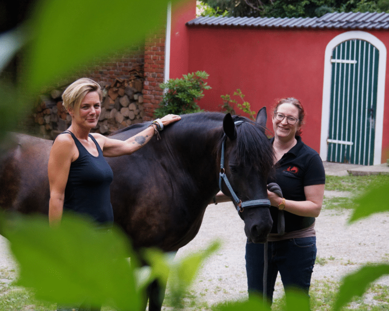 horse assisted coaching