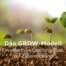 Das GROW-Modell - Ein effektives Coaching-Tool zur Zielerreichung